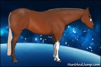 Horse Color:Silver Bay 