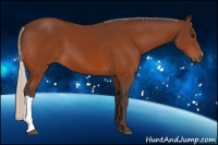 Horse Color:Silver Bay 