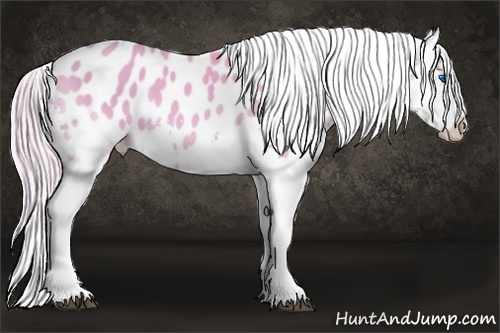 Horse Color: Watercolor Palomino Splash Near Leopard 