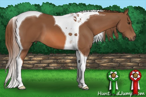 Horse Color: Chestnut Tobiano 