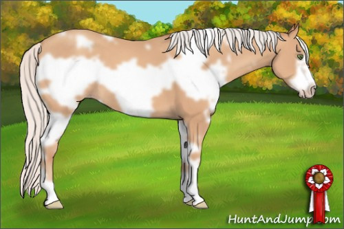 Horse Color: White Spotted Silver Classic Champagne Frame 
