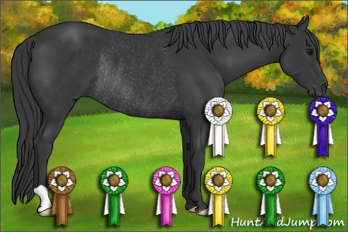 Horse Color: Unknown 