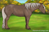 Horse Color:Silver Black 