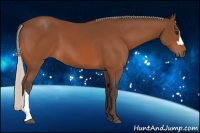 Horse Color:Silver Bay 