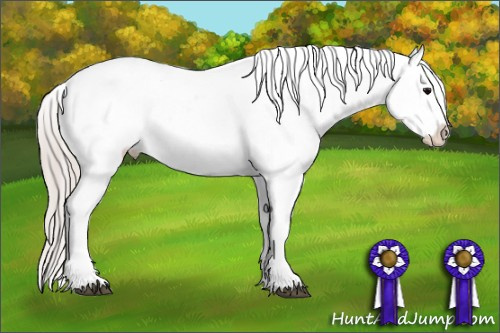 Horse Color: Silver Black Splash Snowcap 