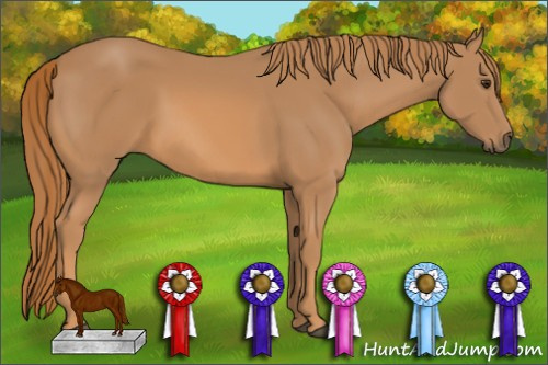 Horse Color: Chestnut 