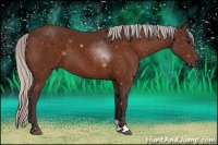 Horse Color:Silver Bay Sabino