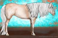 Horse Color:Cremello Roan Dun Splash Blanket 