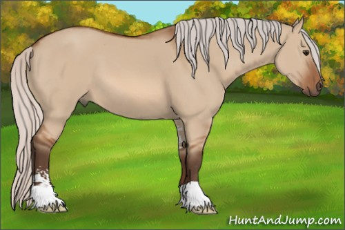 Horse Color: Silver Bay Dun Sabino 