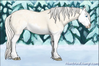 Horse Color:Silver Amber Cream Champagne Ice Dun Sabino Splash 