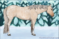 Horse Color:Silver Bay Ice Roan Dun Sabino