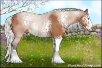 Horse Color:White Spotted Silver Bay Sabino Splash