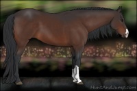 Horse Color:Brown 