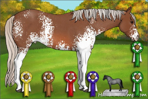Horse Color: White Spotted Silver Bay Roan 