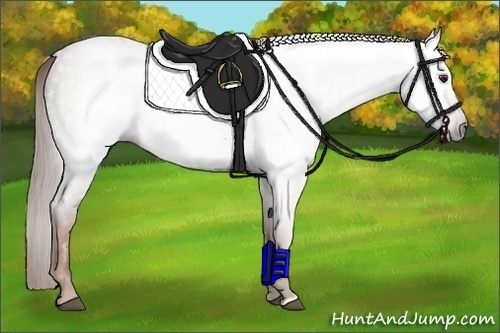 Horse Color:Gray Red Roan 