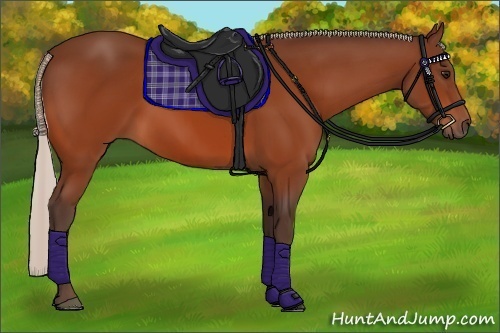 Horse Color:Silver Bay