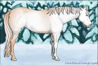 Horse Color:Gray Cremello 