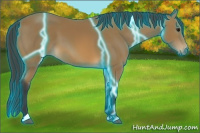 Horse Color:Thunderstruck Buckskin 