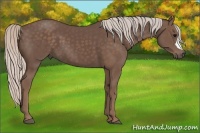 Horse Color:Silver Black 