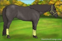 Horse Color:Smoky Blue Roan 