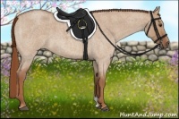 Horse Color:Red Dun Roan 