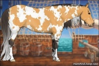 Horse Color:White Spotted Buckskin 