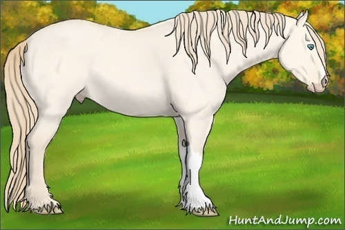 Horse Color:Perlino Roan Dun