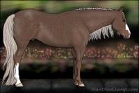 Horse Color:Silver Black 