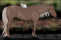 Horse Color:Silver Blue Roan 