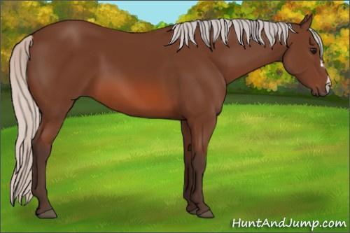 Horse Color: Silver Bay 