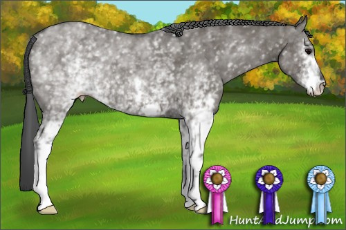 Horse Color: White Spotted Grullo Roan 
