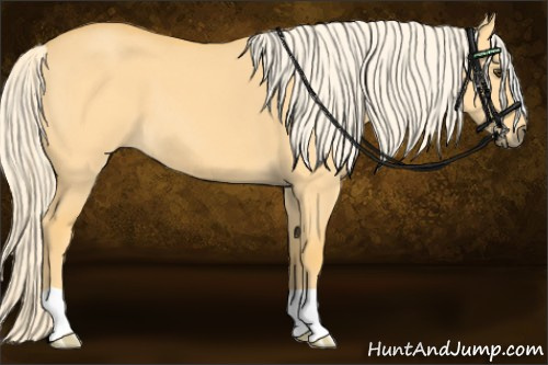 Horse Color: Palomino Dun 