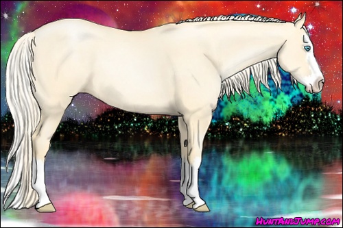 Horse Color: Palomino Pearl Dun Sabino Splash 