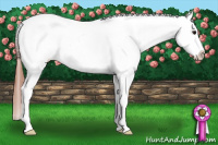 Horse Color:Bay Roan Dun Snowcap 