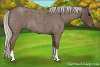 Horse Color:Silver Blue Roan Tobiano 