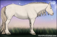 Horse Color:Smoky Creme Roan 