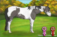 Horse Color:Grullo Sabino Tobiano