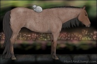Horse Color:Bay Roan 