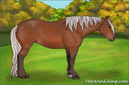 Horse Color: Silver Bay 