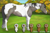 Horse Color:Black Tobiano 