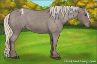 Horse Color:Silver Blue Roan Varnish 