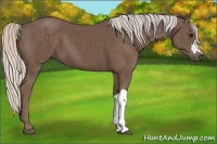 Horse Color:Silver Black 