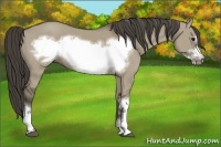 Horse Color:Smoky Grullo Frame 