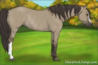 Horse Color:Smoky Grullo Rabicano 