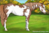 Horse Color:Chestnut Frame