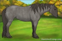 Horse Color:Smoky Blue Roan 