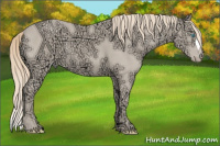 Horse Color:Perlino Ice 