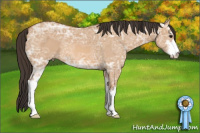 Horse Color:Bay Ice Dun Sabino 