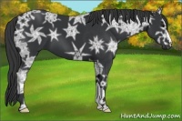Horse Color:Black Ice 