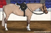 Horse Color:Silver Bay Roan Dun 